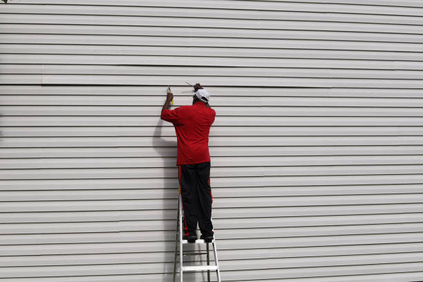 Best Siding for Commercial Buildings  in Brooklyn Center, MN