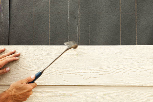 Best Vinyl Siding Installation  in Brooklyn Center, MN